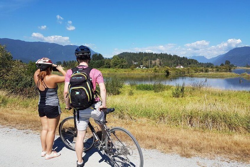 Take a moment to enjoy the spectacular vistas over Alouette River and Golden Ears Provincial Park