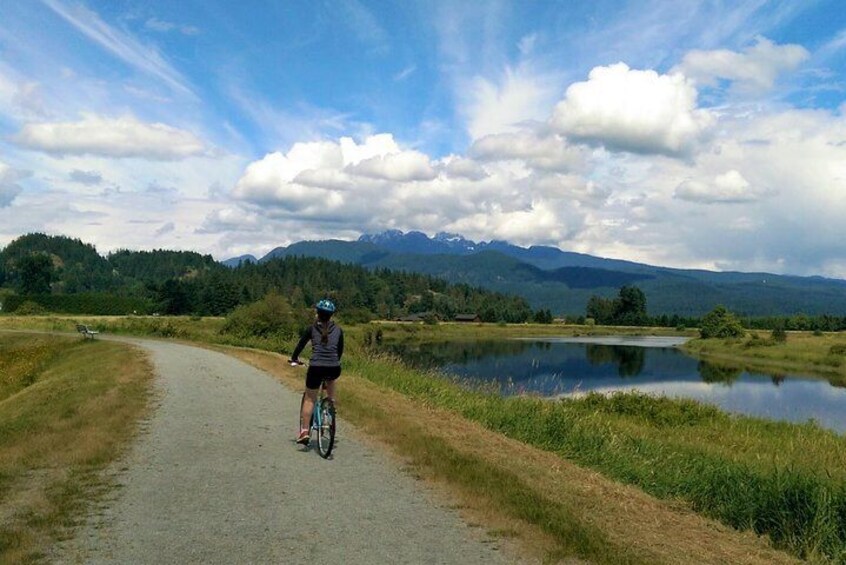 Cycling along the Trans Canada Trail in Pitt Meadows