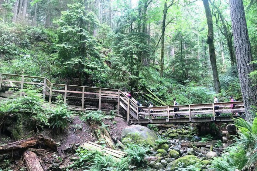 Hiking the baden Powell Trail at Lynn Canyon Park