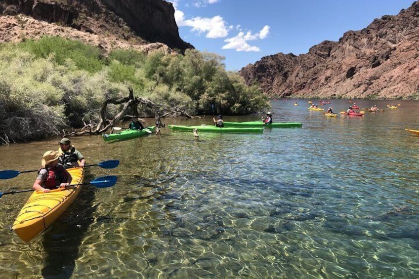 Emerald Cave Kayak Tour on The Colorado River from Las Vegas