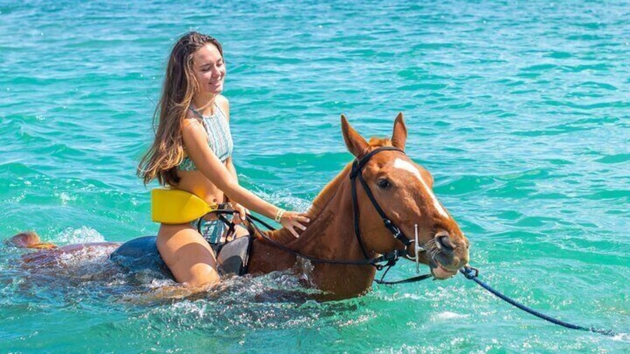 Horseback Ride 'N' Swim