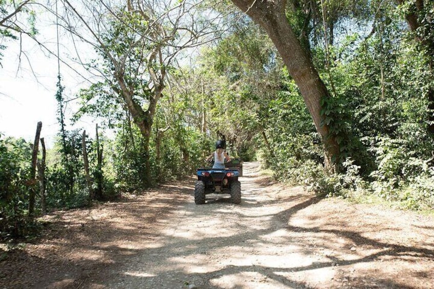 Mountain To Sea ATV Safari