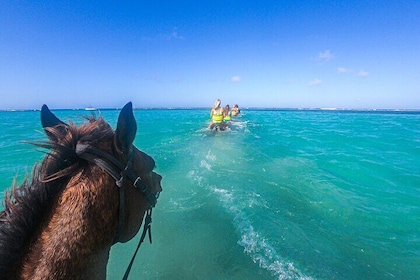 ATV Safari with Horseback Ride 'N' Swim from Ocho Rios