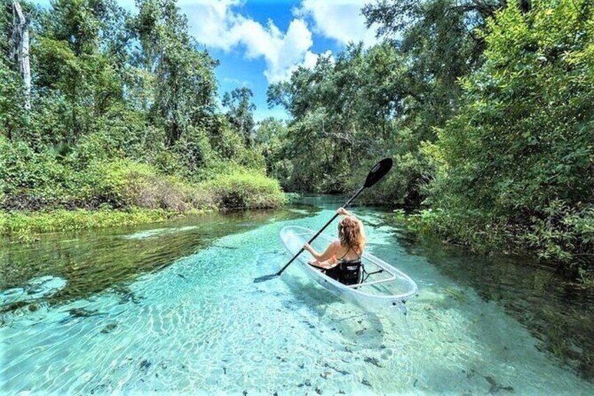 Show item 1 of 7. 2-Hour Glass Bottom Guided Kayak Eco Tour in Rock Springs (Small-Group)