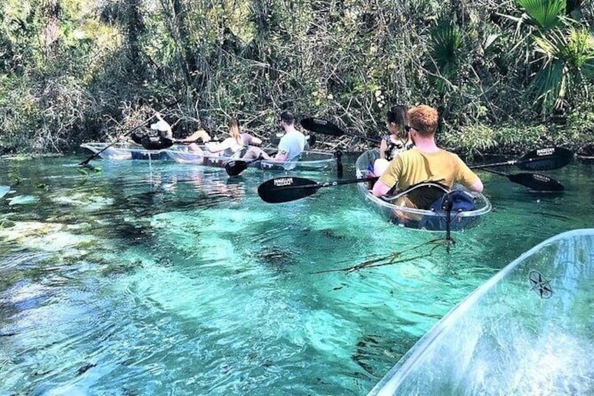 Show item 5 of 7. 2-Hour Glass Bottom Guided Kayak Eco Tour in Rock Springs (Small-Group)