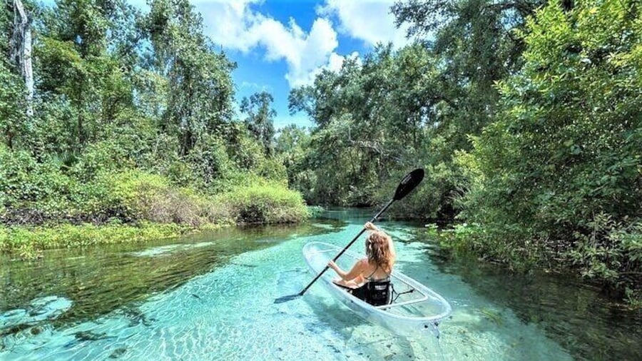 Rock Springs 2-Hour Glass Bottom Guided Kayak Eco Tour