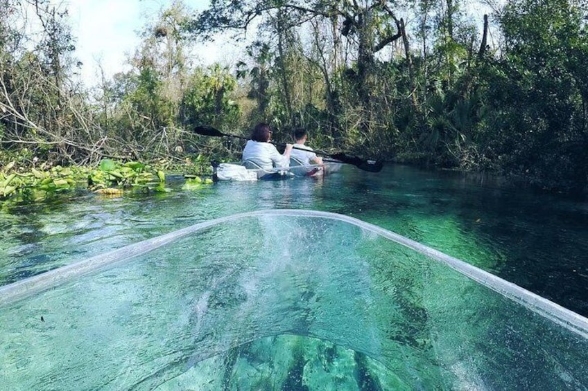 2-Hour Glass Bottom Guided Kayak Eco Tour in Rock Springs (Small-Group)