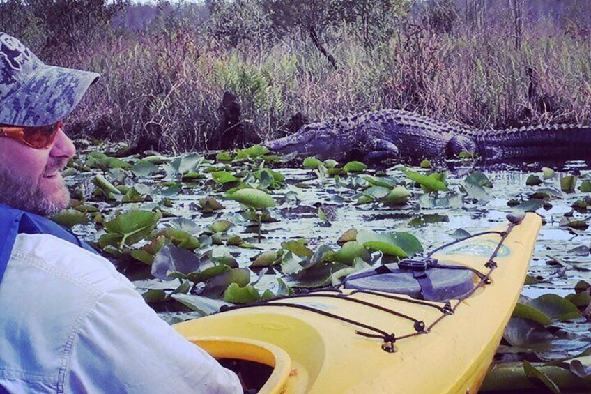 Econlockhatchee River Kayak Tour