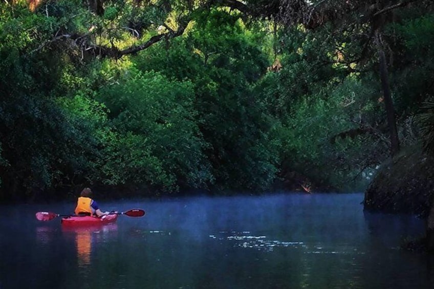 Econlockhatchee River Kayak Tour