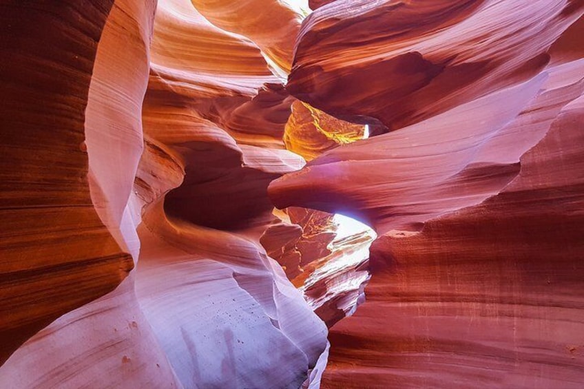 Antelope Canyon & Horseshoe Bend Expedition by Plane from Las Vegas