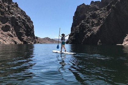 Half-Day Colorado River Paddleboard Trip