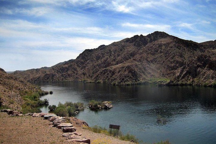 Half-Day Colorado River Paddleboard Trip