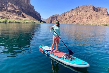 Half-Day Colorado River Paddleboard Trip