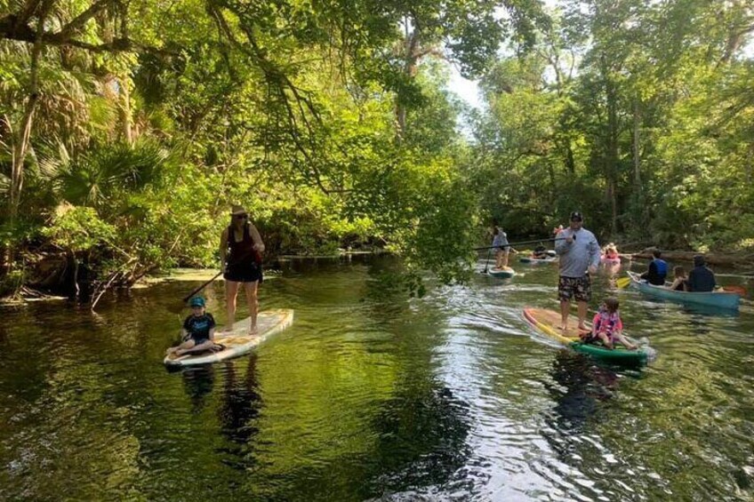 Wekiva Springs Stand Up Paddleboard Adventure