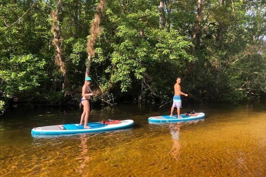 Wekiva Springs Stand Up Paddleboard Adventure