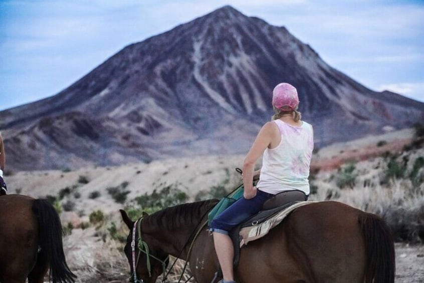 Sunset Horseback Riding Adventure with BBQ Dinner