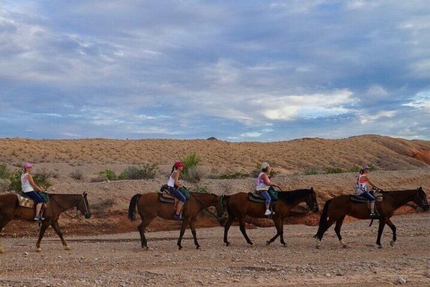 Sunset Horseback Riding Adventure with BBQ Dinner