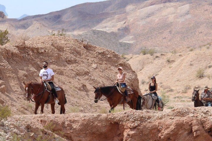 Sunset Horseback Riding Tour with BBQ Dinner