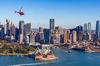 Private Helicopter Flight Over Sydney & Beaches for 2 or 3 people - 20 Minu...