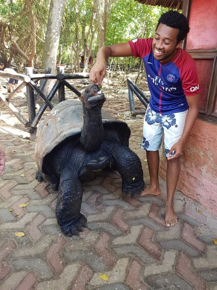 Show item 4 of 10. Zanzibar Prison Island Tour and Nakupenda Sandbank Trip
