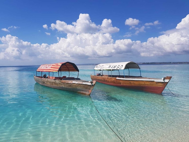 Show item 5 of 10. Zanzibar Prison Island Tour and Nakupenda Sandbank Trip