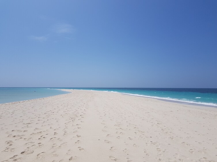 Show item 3 of 10. Zanzibar Prison Island Tour and Nakupenda Sandbank Trip