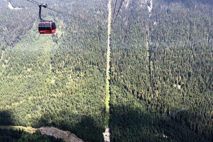 whistler peak to peak gondola