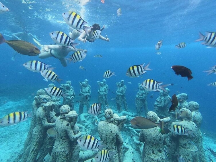 Show item 2 of 10. Gili Trawangan Half Day Cruise with Lunch