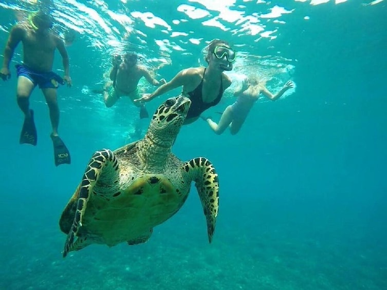 Show item 3 of 10. Gili Trawangan Half Day Cruise with Lunch