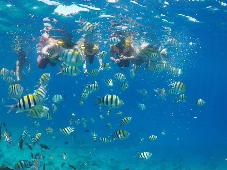 Show item 2 of 10. Gili Trawangan Sunset BBQ Dinner Cruise with Snorkeling