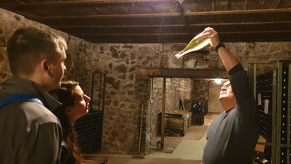 Show item 3 of 10. Private half-day tour in Champagne