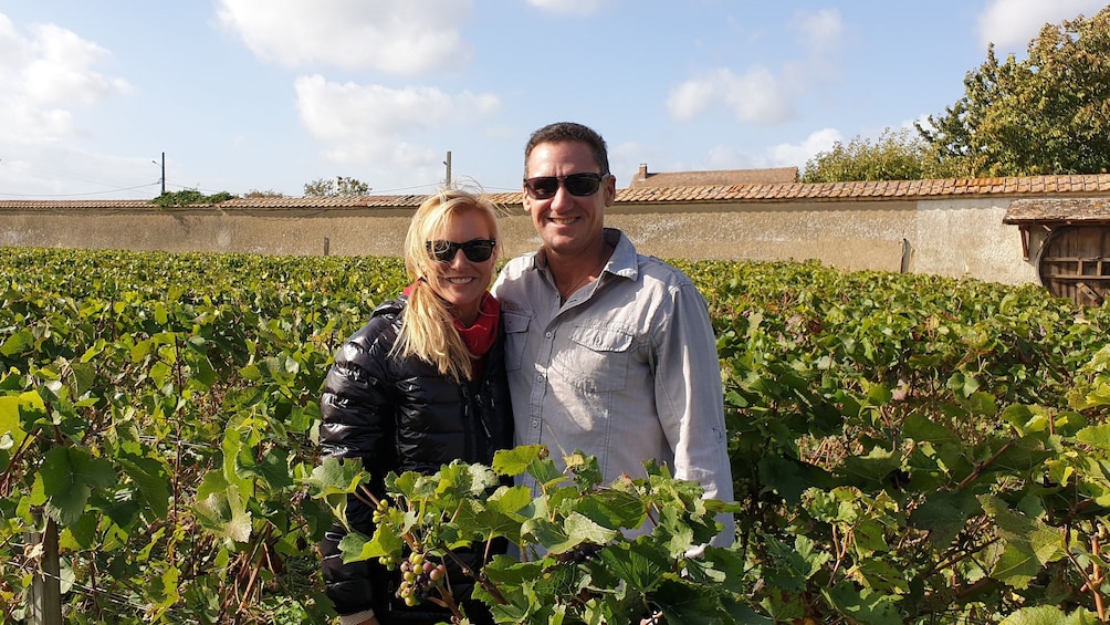 Show item 5 of 10. Private half-day tour in Champagne
