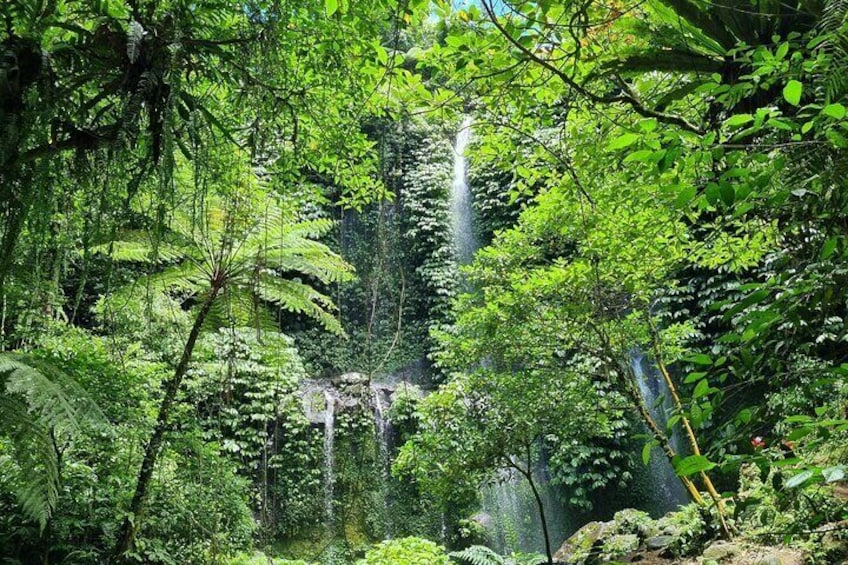 Benang Kelambu & Stokel Waterfall