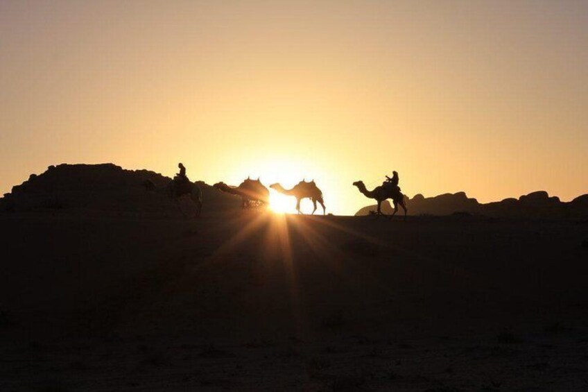 One Day Tour Wadi Rum