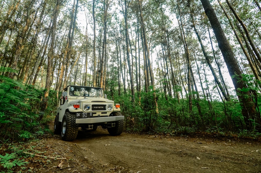 Mount Batur Sunrise Trekking by Bali Volcano Jeep