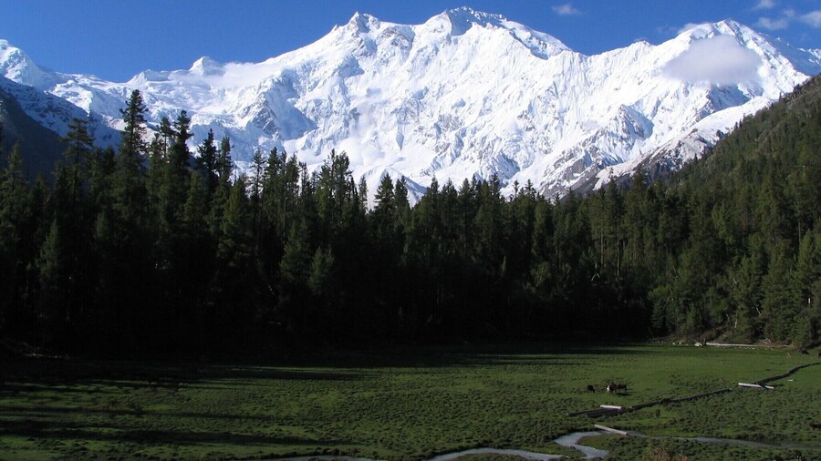 5-Day Kashmir Valley Tour from Srinagar