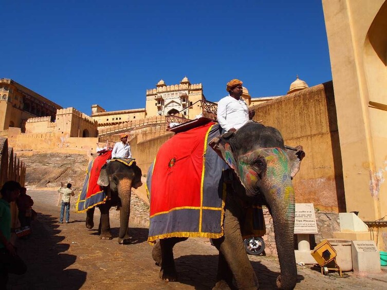 9- Day Heritage Tour of India including Ramathra and Taj  Mahal from Jaipur