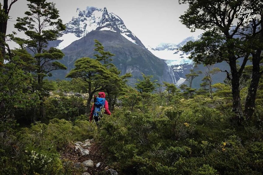 Glacier Navigation Mayo Spirit Trek with 3 Landings n Forest