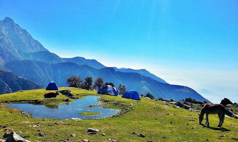 9- Day Himalayan Ladhak Tour: Monasteries Lakes & Yaks from Leh