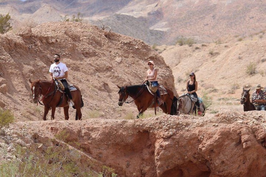 Afternoon Horseback Riding Tour with Lunch