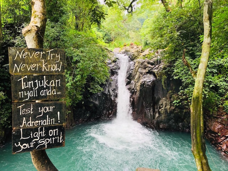 Sambangan Waterfalls with Wanagiri Swing Day Trip