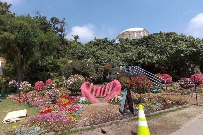 Okinawa Zoo and Museum Admission Ticket