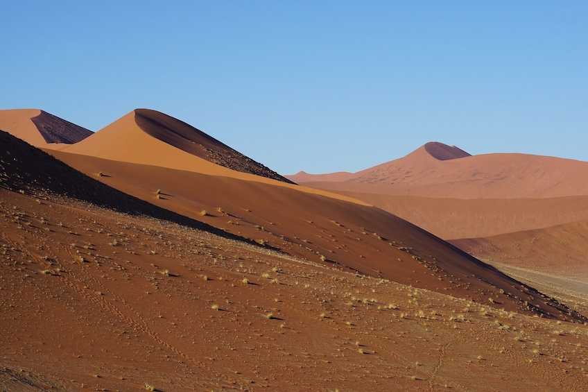 Show item 2 of 4. 4 Day/ 3 Nights Sossusvlei Experience