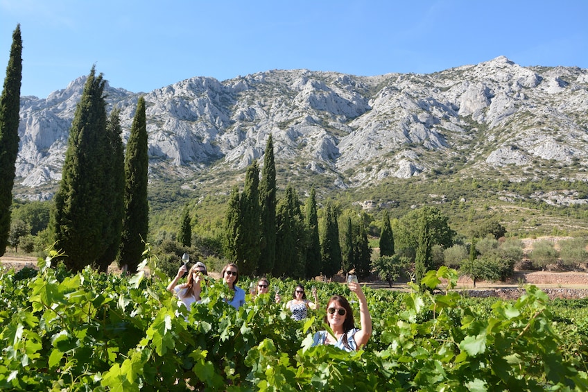 Show item 1 of 8. Wine, beer and pétanque in Cezanne's country with lunch