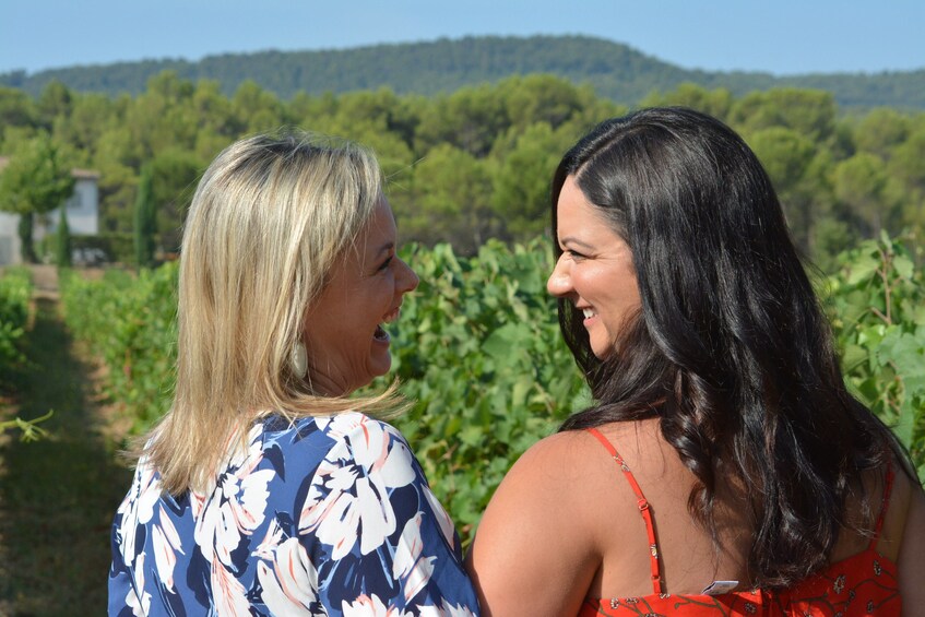Show item 4 of 8. Wine, beer and pétanque in Cezanne's country with lunch