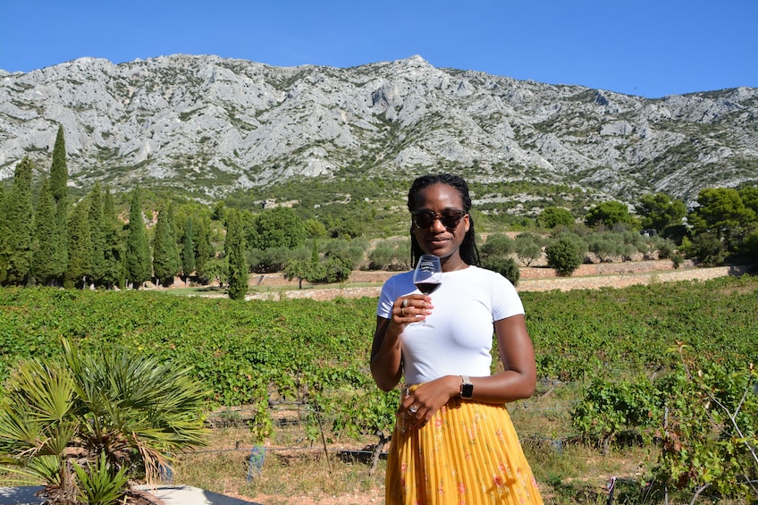 Show item 5 of 8. Wine, beer and pétanque in Cezanne's country with lunch