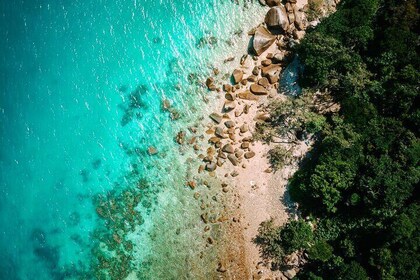 Transferts et visites de l'île Fitzroy au départ de Cairns