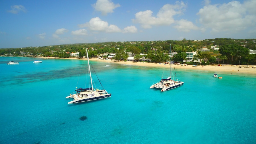Snorkel Sunset Cruise In Barbados