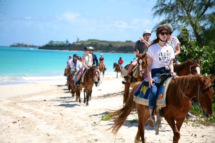 Antigua Horseback Beach Experience