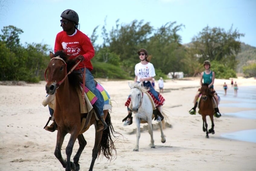 Antigua Horseback Beach Experience